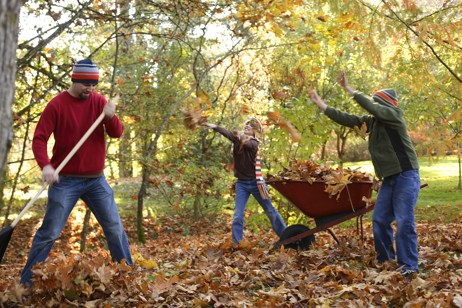 Fall Clean-Up in Two Parts: Nostalgic and Gross - Out With The Kids