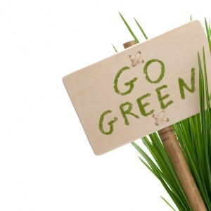 How to Go Green Around the House