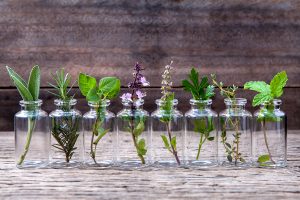 9 Herbs That Grow Best in the Pacific Northwest